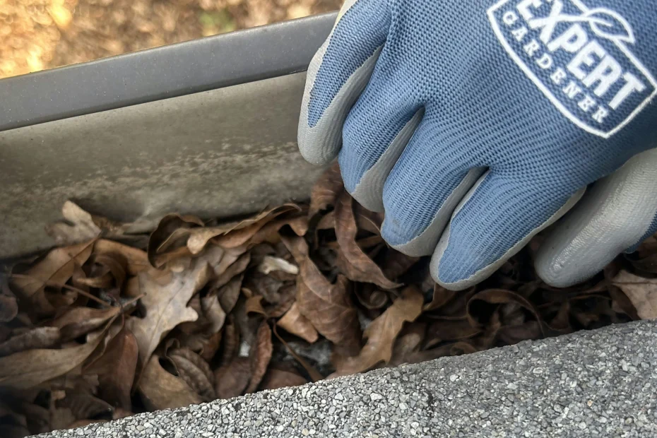 Gutter Cleaning Wesley Chapel