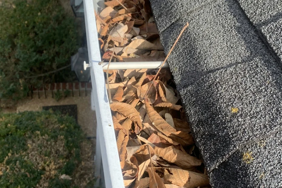 Gutter Cleaning Wesley Chapel