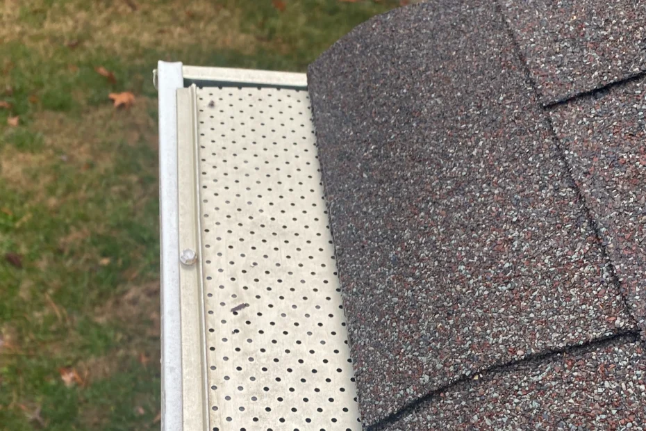 Gutter Cleaning Wesley Chapel