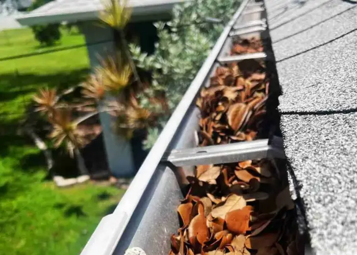 Gutter Cleaning Wesley Chapel home page